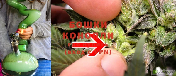 шишки Кукмор