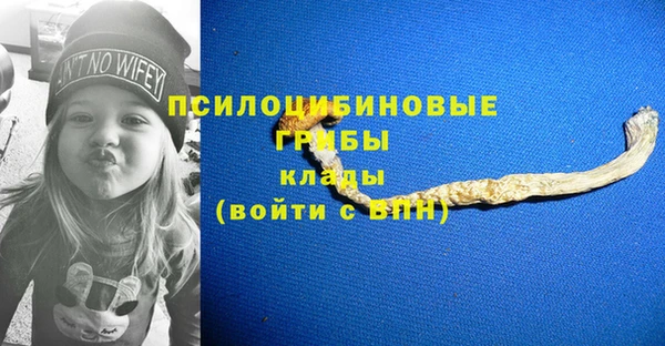 гашик Кулебаки