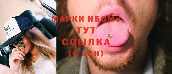гашик Кулебаки